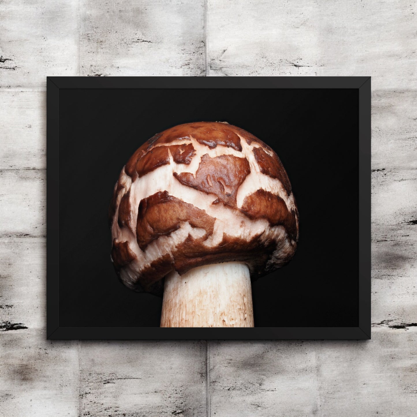 Chlorophyllum Brown and White Patterned Mushroom Framed Art Print - mushroom cap photography, black frame.