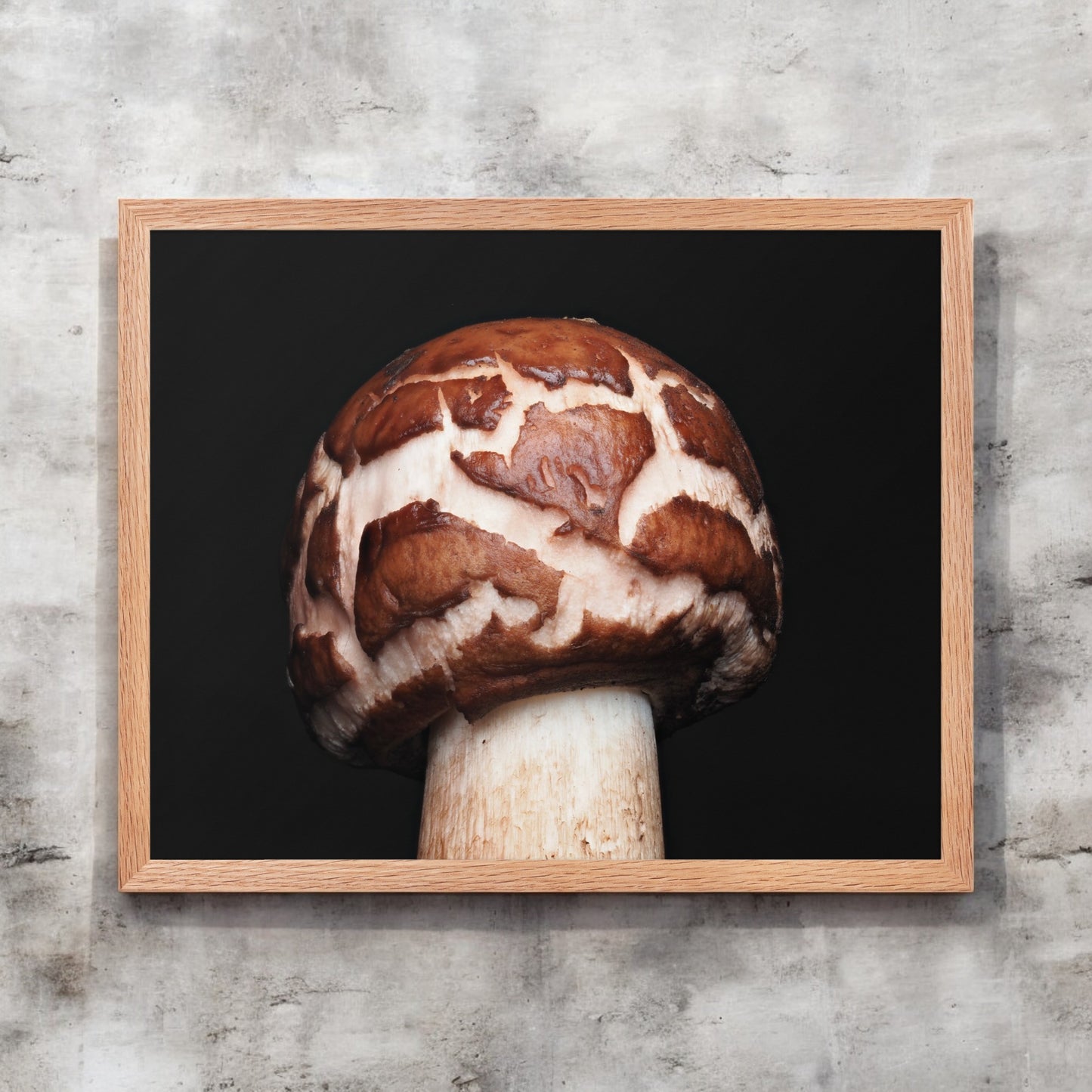 Clorophyllum Brown and White Patterned Mushroom Framed Art Print - mushroom cap photography, light wood frame.