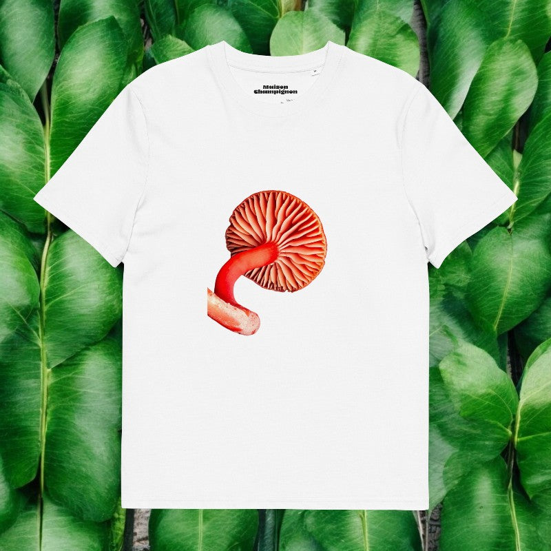 Red Hygrocybe on white T-shirt on green leaves