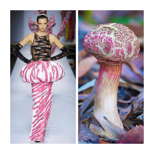 Mushroomcore: fashion trend