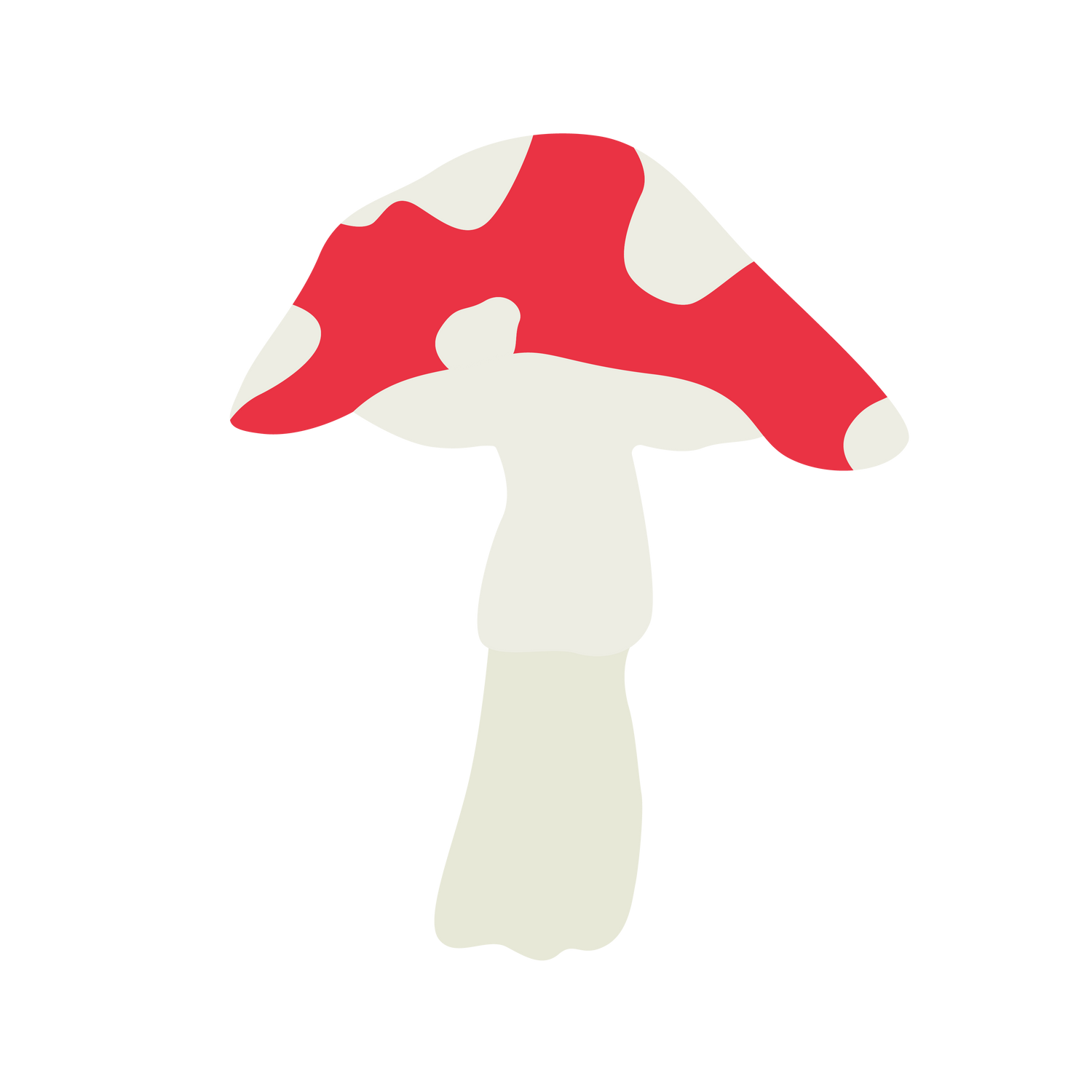 Fly Agaric