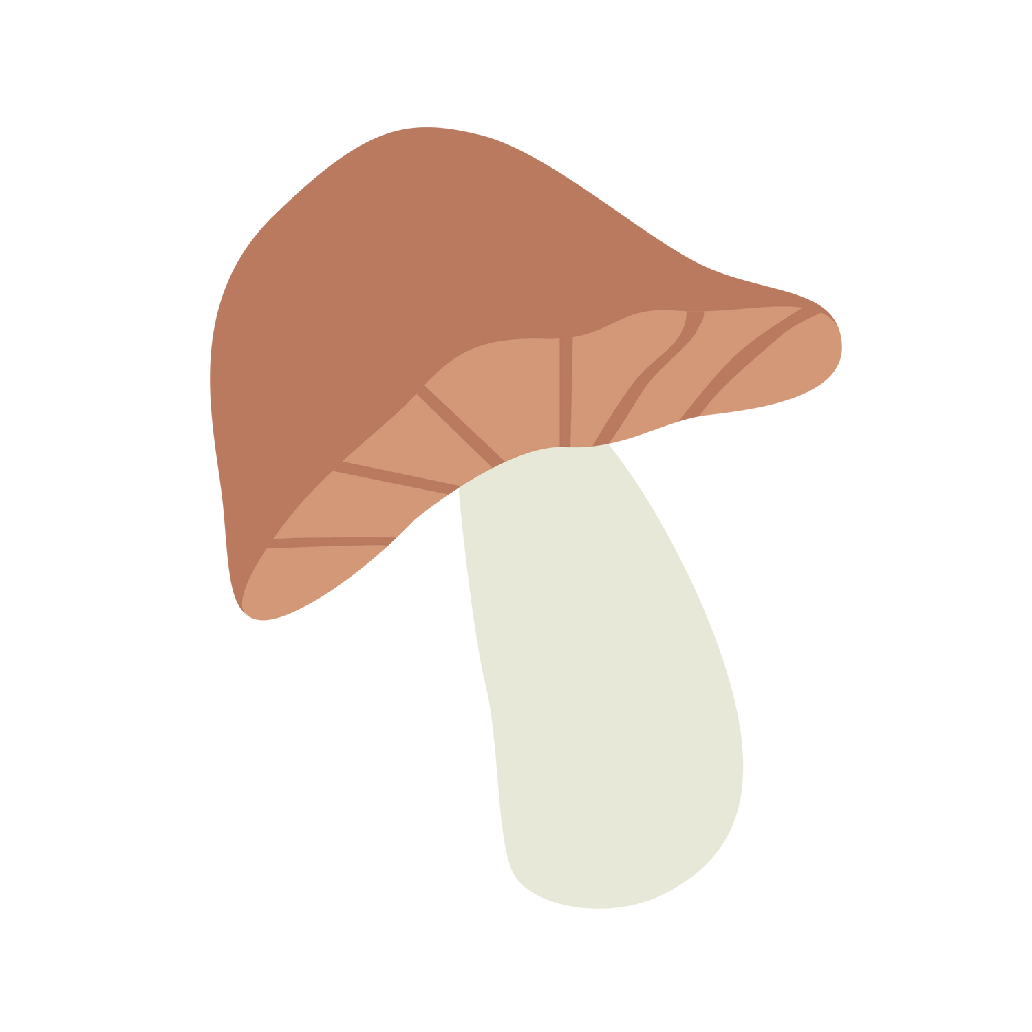 Porcini