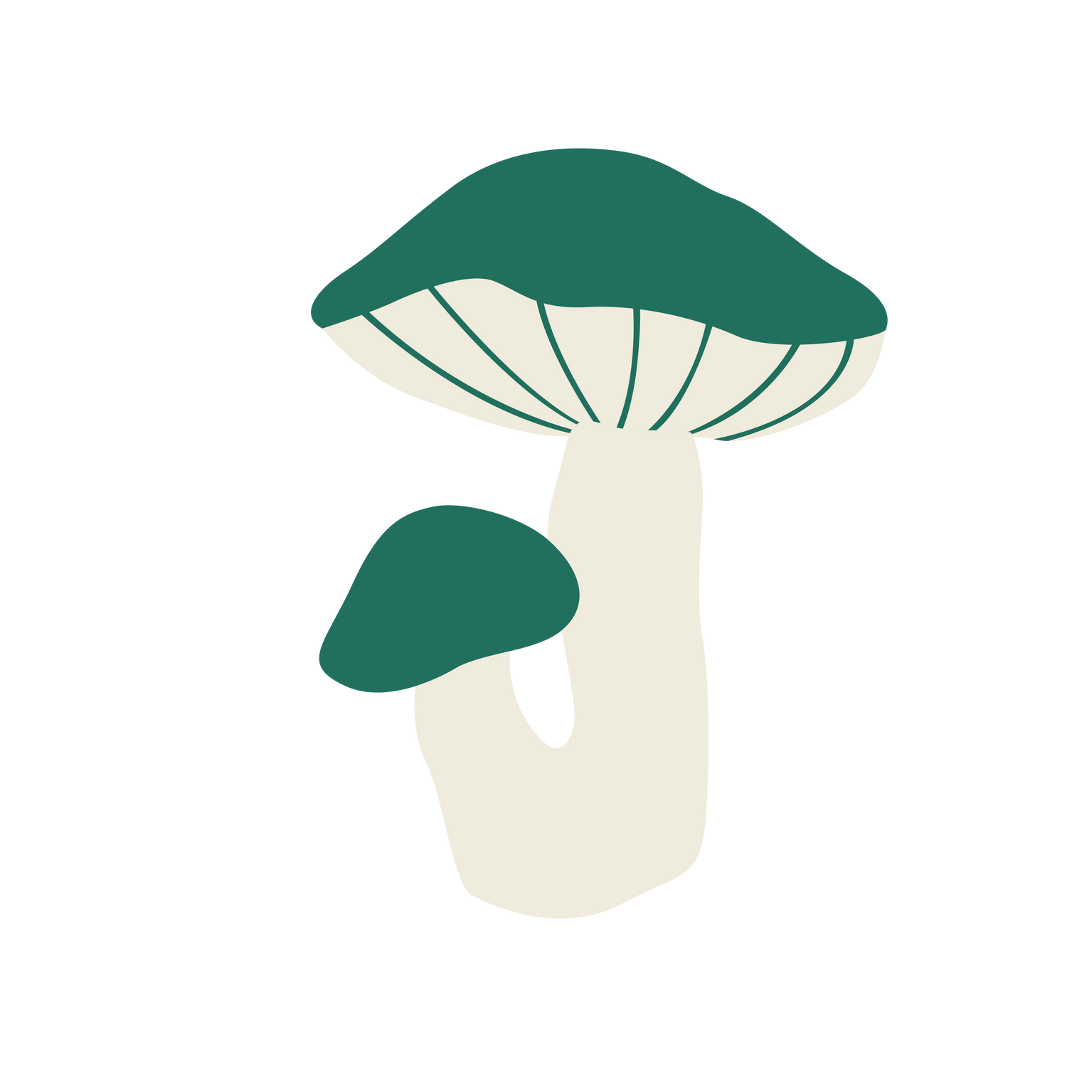 Russula