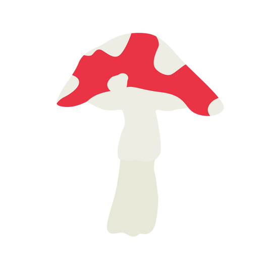 #001 Fly Agaric